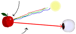 The human eye can distinguish the frequencies of light waves