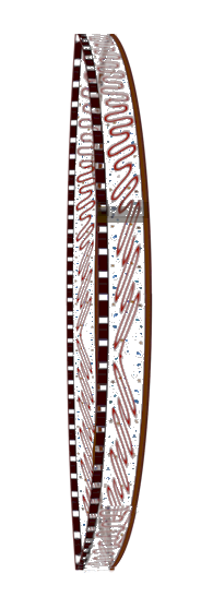 A film loop