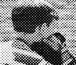 Closeup shows typical halftone dot pattern